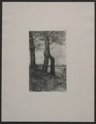 The Area Near Fredensborg