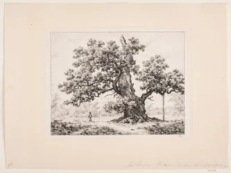 The Stork Oak, Jægerspris