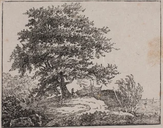 Tree on a Slope by the Sea