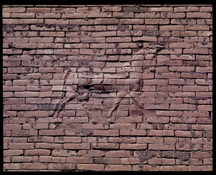 Detail of a bull, relief of the Ishtar gate, 580 BC