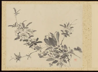 Refined Elegance in the Four Seasons, Album of Flower Paintings