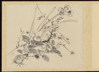 Refined Elegance in the Four Seasons, Album of Flower Paintings