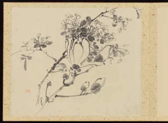 Refined Elegance in the Four Seasons, Album of Flower Paintings