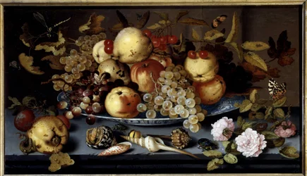 Still Life of Fruits, Flowers, Shells and Insects. Dutch School
