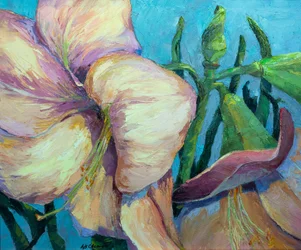 Amaryllis 2, c.1990-2000