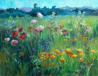 Field of Poppies