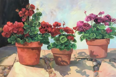 Geranium Series 1