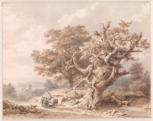 An Old Oak by Water