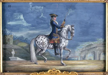 An appaloosa horse of the Spanish Riding School, from the Imperial stud in Bohemia