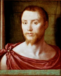 Portrait of Man with the Antique Red Man Face with Double-Pointed Beard