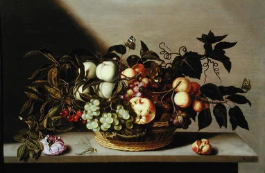 Still Life of Fruit