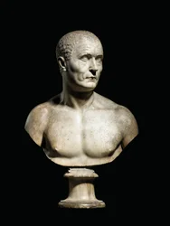 Bust of a Man