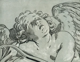 A Sleeping Cupid