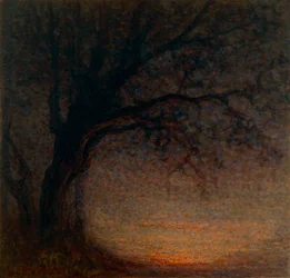 Dead Tree