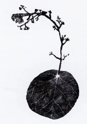 Lichen Leaf