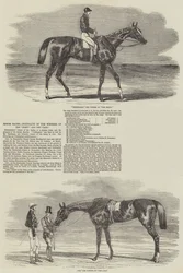 Epsom Races, Portraits of the Winners of the Derby and the Oaks