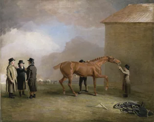 Muly Moloch, a chestnut colt being rubbed down on Newmarket Heath, with portraits of Trotter, Hardy and Thompson on the left