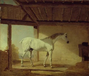 The Earl of Coventry