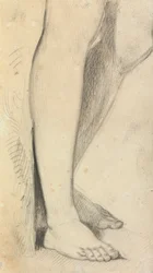 Figure Study of Legs