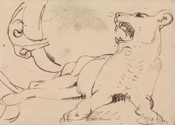 Study of a Lioness