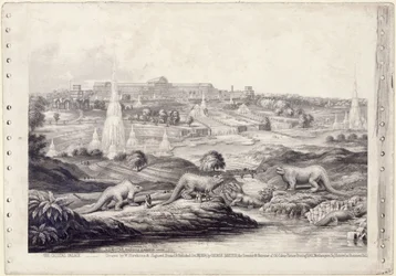 The Crystal Palace