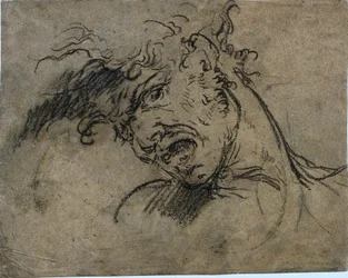 Head of a Screaming Man, 1792
