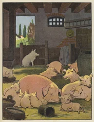 Pigs in a Pigsty