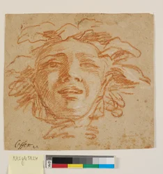 Face of a Faun?