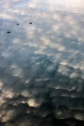 Reflections of Clouds and Birds on the Surface of the Garonne River in Toulouse, Haute-Garonne
