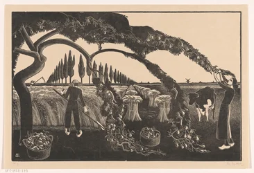 Harvesting Man and Woman