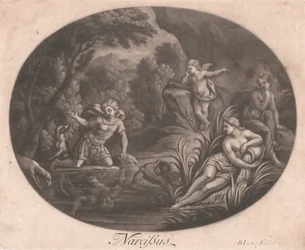 Narcissus