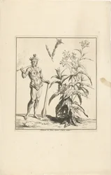 Tobacco Plant and Native American