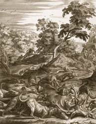 Actaeon Turned into a Stag and Devoured by his Hounds