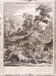 Actaeon Turned into a Stag and Devoured by His Hounds