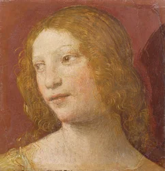Head of a Young Woman