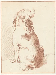 Sitting Dog
