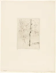 The Lake in the Bois de Boulogne