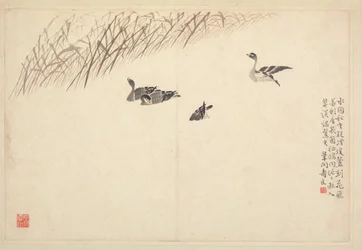 Album of Calligraphy and Paintings