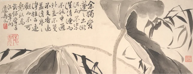Lotus Leaves and Water Reeds