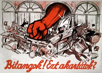 Rascal! Is This What You Wanted?