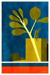 Geometric Plant Still Life