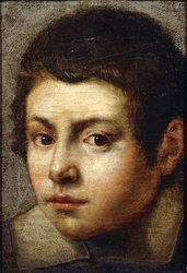The Head of a Young Boy