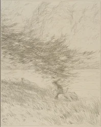 The Pine Bough