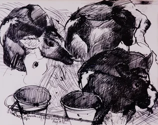 Calves, Damp, Newborn