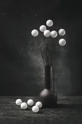 Modern Spherical Still Life
