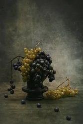 Moody Grapes Still Life