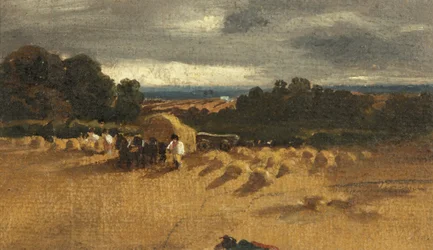 Harvesting Scene