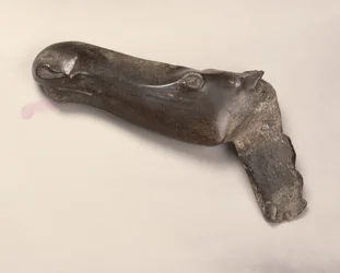 Head of a Female Elk, from Yekaterinburg in the Urals