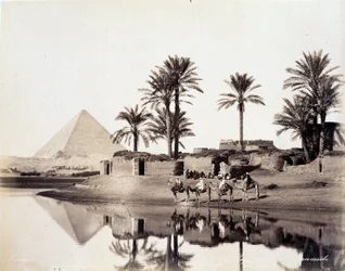 Camels Drinking at the Foot of the Pyramids of Egypt - Photograph by the Zangali Brothers, Late 19th Century