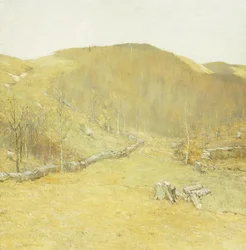The Hills